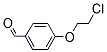 PI-27691 4-(2-Chloroethoxy)benzaldehyde (54373-15-8)