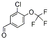 PI-27940 3-Chloro-4-(trifluoromethyl)benzaldehyde (83279-38-3)