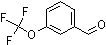 PI-28609 3-(Trifluoromethoxy)benzaldehyde (52771-21-8)
