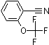 PI-28712 2-(Trifluoromethoxy)benzonitrile (63968-85-4)