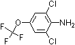 PI-28905 2,6-Dichloro-4-trifluoromethoxyaniline (99479-66-0)
