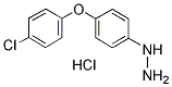 PI-29339 [4-(4-Chlorophenoxy)phenyl]hydrazine hydrochloride (212755-77-6)
