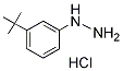 PI-29460 1-[3-(Tert-Butyl)phenyl]hydrazine hydrochloride (306937-27-9)