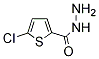 PI-29504 5-Chloro-2-Thiophenecarboxylic Acid Hydrazide (351983-31-8)