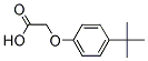 PI-30229 4-tert-Butylphenoxyacetic acid (1798-04-5)