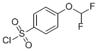 PI-33691 4-Difluoromethoxybenzenesulfonyl chloride (351003-34-4)