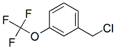 PI-34423 3-(Trifluoromethoxy)benzyl chloride (89807-43-2)