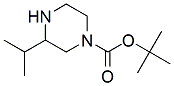 PI-34539 1-N-Boc-3-isopropylpiperazine (502649-32-3)