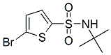PI-34722 5-Bromo-N-tert-butyl-2-thiophenesulfonamide (286932-39-6)