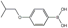 PI-35793 p-Isobutoxyphenylboronic acid (153624-44-3)