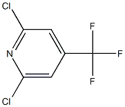 PI-35839 2,6-Dichloro-4-(trifluoromethyl)pyridine (39890-98-7)