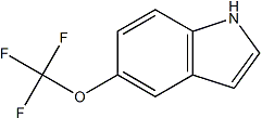 PI-35981 5-(Trifluoromethoxy)indole (262593-63-5)