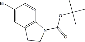 PI-36199 Tert-Butyl 5-bromoindoline-1-carboxylate (261732-38-1)
