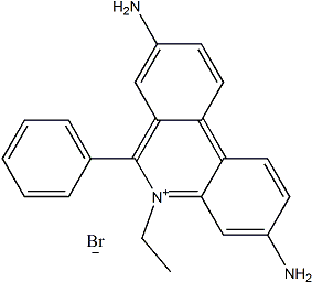 PI-37040 Ethidium bromide (1239-45-8)