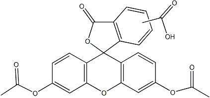 PI-37041 5(6)-Carboxyfluorescein Diacetate (124387-19-5)