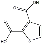 PI-37078 Thiophene-2,3-Dicarboxylic Acid (1451-95-2)