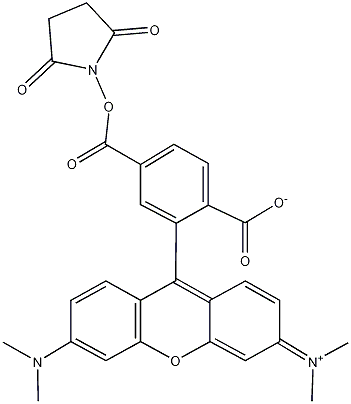 PI-37089 6-Carboxytetramethylrhodamine N-Succinimidyl Ester (150810-69-8)