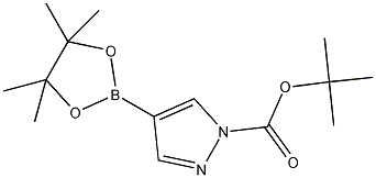 PI-37300 1-Boc-Pyrazole-4-Boronicacid Pinacoal Ester (552846-17-0)