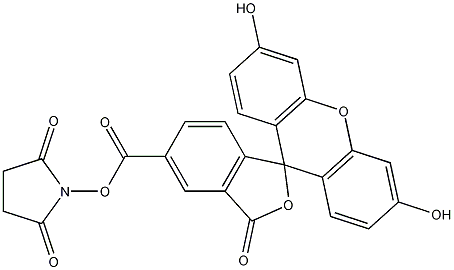 PI-37413 5-Carboxyfluorescein N-succinimidyl ester (92557-80-7)
