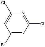 PI-37420 4-Bromo-2,6-Dichloropyridine (98027-80-6)