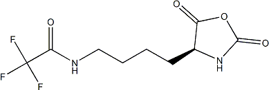 PI-37654 (S)-N-(4-(2,5-Dioxooxazolidin-4-yl)-butyl)-2,2,2-trifluoroacetamide (42267-27-6)