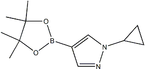 PI-38162 1-Cyclopropyl-4-(4,4,5,5-tetramethyl-1,3,2-dioxaborolan-2-yl)-1H-pyrazole (1151802-22-0 )