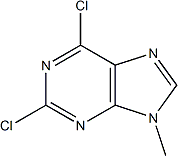 PI-38197 2,6-Dichloro-9-methyl-9H-purine (2382-10-7)