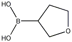 PI-38479 (Tetrahydrofuran-3-yl)boronic acid (260369-10-6)