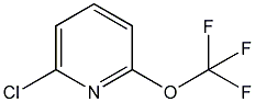 PI-38839 2-chloro-6-(trifluoromethoxy)pyridine (1221171-70-5)