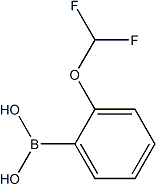 PI-39157 (2-(difluoromethoxy)phenyl)boronic acid (947533-11-1)