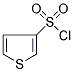 PI-39413 3-Thiophenesulfonyl chloride (51175-71-4)