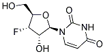 PI-40079 1-((2R,3S,4S,5R)-4-Fluoro-3-hydroxy-5-(hydroxymethyl)tetrahydrofuran-2-yl)pyrimidine-2,4(1H,3H)-dione (57944-13-5)