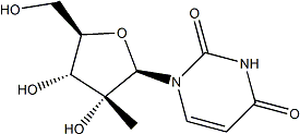 PI-40080 2'-C-Methyluridine (31448-54-1)