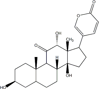 PI-40703 Pseudobufarenogin (17008-69-4)