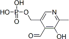 PI-41144 Pyridoxal phosphate (54-47-7)