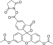 PI-41275 5-(((2,5-Dioxopyrrolidin-1-yl)oxy)carbonyl)-3-oxo-3H-spiro[isobenzofuran-1,9'-xanthene]-3',6'-diyl diacetate (150206-05-6)