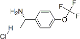PI-41722 (1S)-1-[4-(trifluoromethoxy)phenyl]ethanamine hydrochloride  (11391540-47-8)