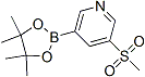 PI-41769 4-Bromo-2,5-dichlorothiophene-3-sulphonyl chloride (166964-36-9)
