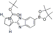 PI-42418 (1R,3S,4S)-3-[6-(4,4,5,5-Tetramethyl-1,3,2-dioxaborolan-2-yl)-1H-benzimidazol-2-yl]-2-azabicyclo[2.2.1]heptane-2-carboxylic acid 1,1-dimethylethyl ester (1256387-87-7)