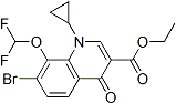 PI-42970 7-Bromo-1-Cyclopropyl-8-Difluoromethoxy-4-Oxo-1,4-dihydro-3-quinoline-Carboxylate (194805-07-7)