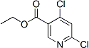 PI-44758 Ethyl 4,6-dichloronicotinate (40296-46-6)