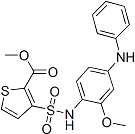 PI-45447 Methyl 3-(n-(2-methoxy-4-(phenylamino)phenyl)sulfamoyl)thiophene-2-carboxylate (1014691-61-2)
