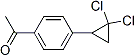 PI-45781 1-[4-(2,2-Dichlorocyclopropyl)phenyl]ethan-1-one (40641-93-8)