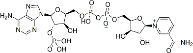 PI-45900 Triphosphopyridine nucleotide (53-59-8)