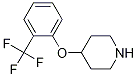 PI-46630 4-[2-(Trifluoromethyl)Phenoxy]Piperidine (824390-04-7)