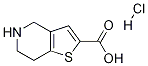 PI-46685 4,5,6,7-Tetrahydrothieno[3,2-C]Pyridine-2-Carboxylic Acid Hydrochloride (116118-99-1)
