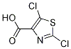 PI-46772 2,5-Dichloro-1,3-Thiazole-4-Carboxylic Acid (127426-30-6)