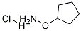 PI-47243 O-Cyclopentylhydroxylamine hydrochloride (52189-22-7)