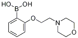 PI-47252 2-(2-Morpholinoethoxy)phenylboronic acid (1310930-78-9)