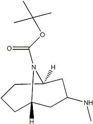PI-48110 Exo-3-Methylamino-9-boc-9-azabicyclo[3.3.1]nonane (1818847-31-2)